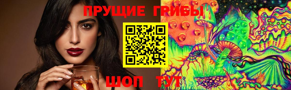 Псилоцибиновые грибы Psilocybine cubensis Осинники