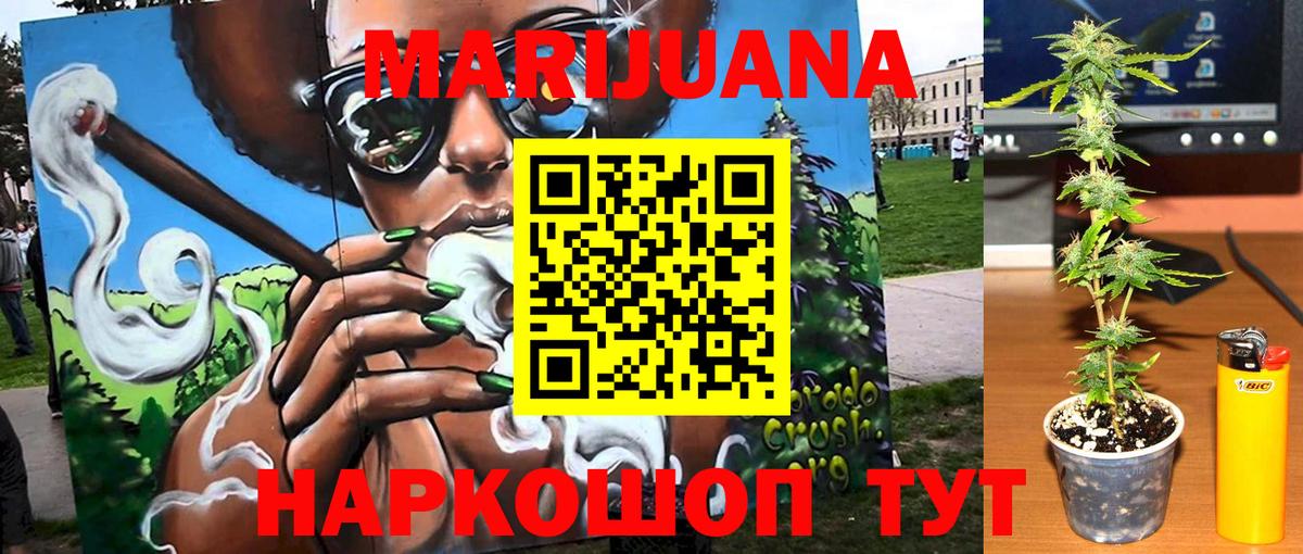 Каннабис OG Kush Осинники
